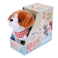 Take Me Home loophond