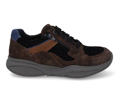 Xsensible SWX14 30088.2 HX 352 brown multi bruin maat 41.5