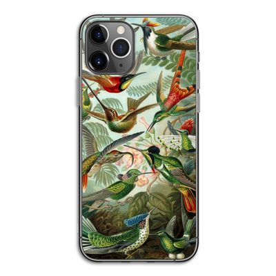 Haeckel Trochilidae: iPhone 11 Pro Transparant Hoesje
