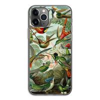 Haeckel Trochilidae: iPhone 11 Pro Transparant Hoesje