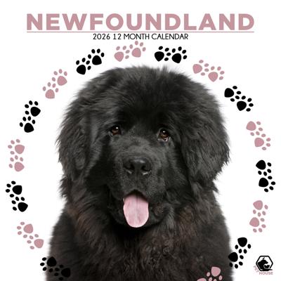 Newfoundlander Kalender 2026