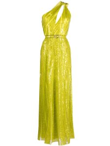 Elie Saab robe longue brodée à une épaule - Vert