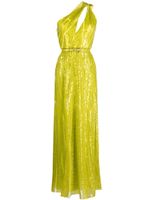 Elie Saab robe longue brodée à une épaule - Vert