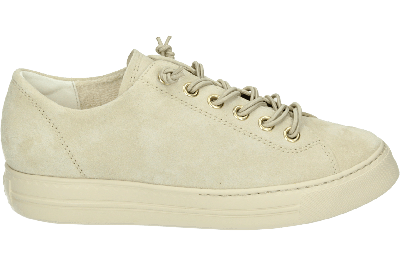 Paul Green 4081 - alle