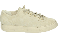 Paul Green 4081 - alle