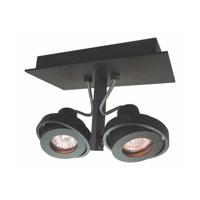Artdelight Zwarte opbouwspotMeist 2-lichts - PL MEIST2-B ZW
