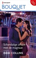 Schandalige affaire met de magnaat - Dani Collins - ebook