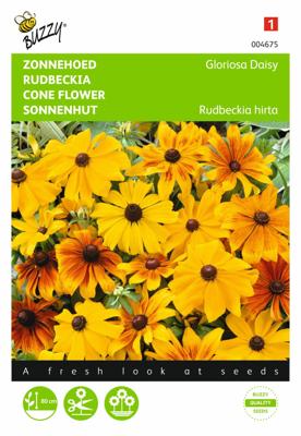Rudbeckia hirta Gloriosa Daisy Gemengd - Buzzy