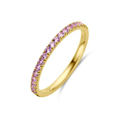 14K Geelgouden Ring met Licht Amethist Geboortesteen - Juni