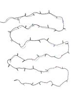 HEMA Lichtsnoer 8.67m met 50 LED lampjes voor binnen en buiten (multicolor)