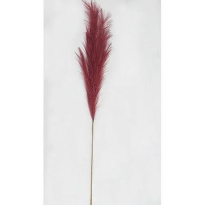 Pampas gras 100cm rood - Buitengewoon de boet