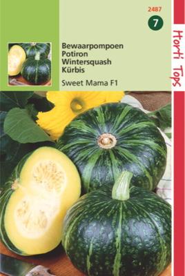Pompoenen Nutty Delica F1 Hybride - Hortitops