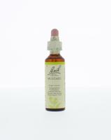 Mustard/herik 20 Milliliter