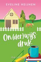 Onderwijs Druk - Eveline Heijnen - ebook - thumbnail