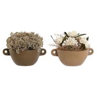 Decoratieve plant Home ESPRIT Bloem 22 x 22 x 14 cm (2 Stuks)
