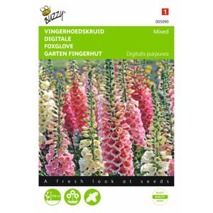 2 stuks Digitalis purpurea Gemengd