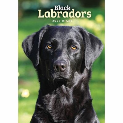 Labrador Retriever Zwart A5 Agenda 2026