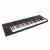 Native Instruments Komplete Kontrol A49 USB/MIDI keyboard