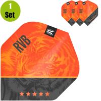 Target Target Raymond van Barneveld Dartflight G4