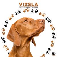 Vizsla Kalender 2026