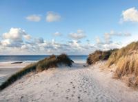 Duinen zee 70x50cm Tuinschilderij - Customize it
