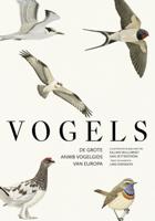 Vogels (Hardback)