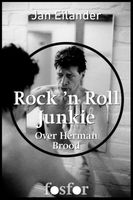 Rock n Roll Junkie - Jan Eilander, Martin Bril - ebook