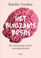 Het buigzame brein - Mindfullness & Psychologie - Spiritueelboek.nl Het buigzame brein - Mindfullness & Psychologie - Spiritueelboek.nl