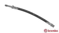 Remslang T85127
