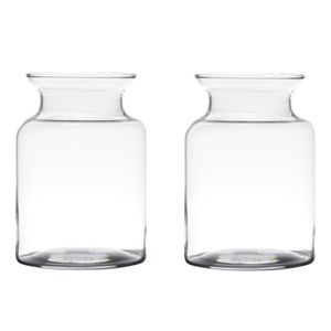 Set van 2x stuks transparante home-basics vaas/vazen van glas 20 x 14 cm