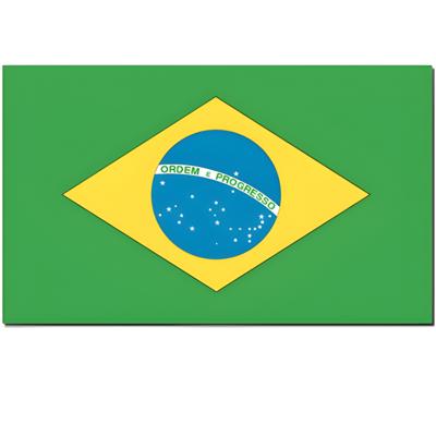 Landen thema vlag Brazilie 90 x 150 cm feestversiering