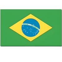 Landen thema vlag Brazilie 90 x 150 cm feestversiering
