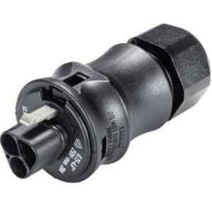 Wieland Electric 96.022.4053.1 Ronde connector Stekker, recht Totaal aantal polen: 2 Serie (ronde connectoren): RST® CLASSIC 1 stuk(s)