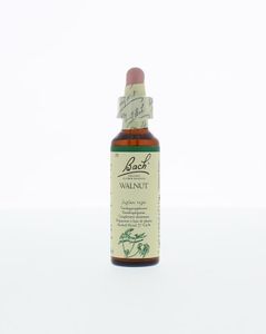 Walnut/walnoot