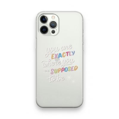 Right Place: iPhone 12 Pro Transparant Hoesje