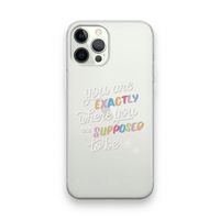 Right Place: iPhone 12 Pro Transparant Hoesje
