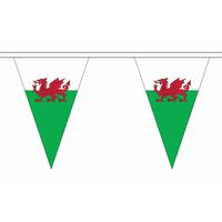 Wales slinger met puntvlaggetjes 5 meter   -