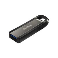 SanDisk Extreme Go USB flash drive 256 GB USB Type-A 3.2 Gen 1 (3.1 Gen 1) Roestvrijstaal - thumbnail