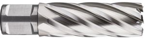 Rotec HSS Kernboor SILVER-LINE, weldon 19, ø13x55 - 536.1301W