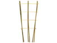 Bamboeplantrekje h60b24 cm s2st Driesprong Collection - Driesprong collection