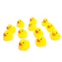 Duckiez Mini badeendjes, 12st.