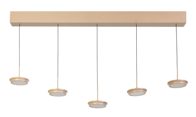 Hanglamp Desiree 5LT led Hanglamp Desiree 5LT led