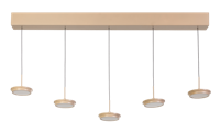 Hanglamp Desiree 5LT led