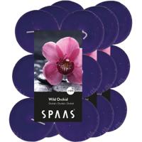 Maxi Geurtheelichtjes/waxinelichtjes - 36x - Wild Orchid - 10 branduren