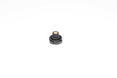Radiateurdop BSG15551003