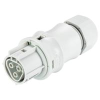 Wieland Electric 96.031.0153.0 Steekverbinder