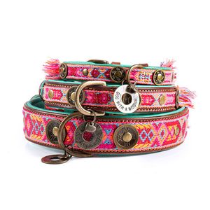 DWAM Boho Rosa Turkoois, Roze, Blauw, Bruin, Geel Leer L Hond Trainingsband