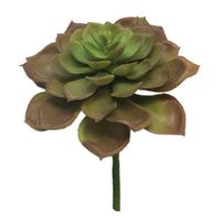 Kunst Echeveria Vetplant 17 cm - Roze - Nova Nature