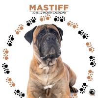 Engelse Mastiff Kalender 2026