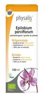 Physalis Epilobium Parviflorem Plantendruppels Bio